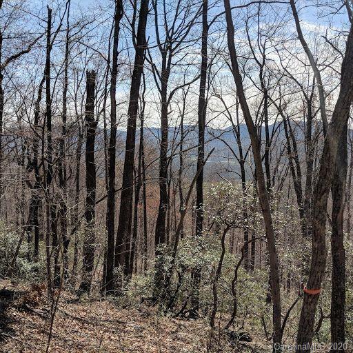 Property image 5 at T 44 94 Galax Lane, Black Mountain, NC 28711