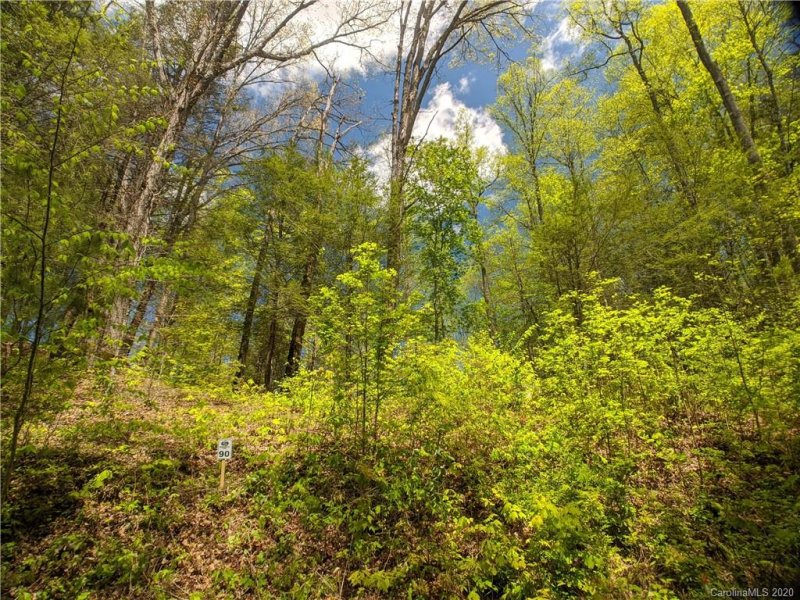Property image 2 at Lot 90 Bear River Lodge Trail, Marshall, NC 28753