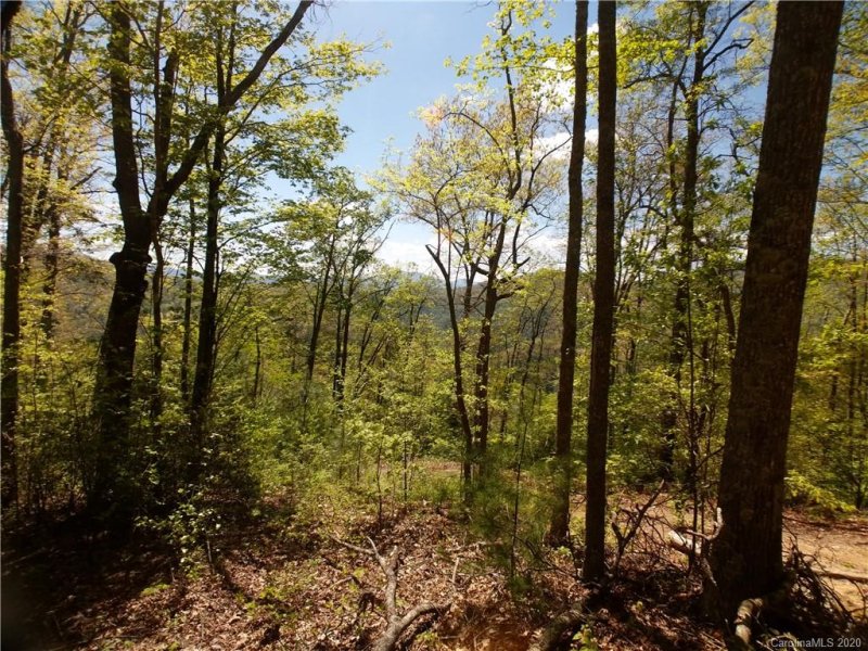 Property image 2 at Lot 118 Bear River Lodge Trail, Marshall, NC 28753