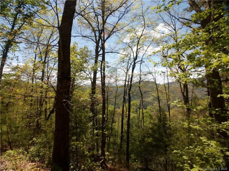 Property image 3 at Lot 118 Bear River Lodge Trail, Marshall, NC 28753