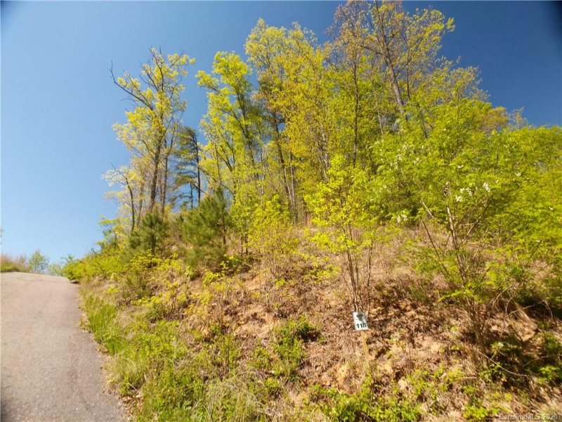 Property image 5 at Lot 118 Bear River Lodge Trail, Marshall, NC 28753
