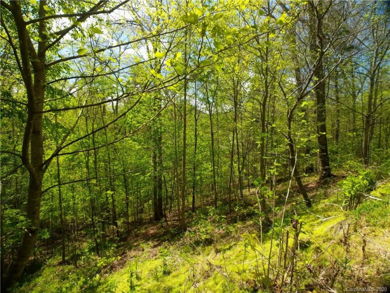 Property image 2 at Lot 101 Bear River Lodge Trail, Marshall, NC 28753