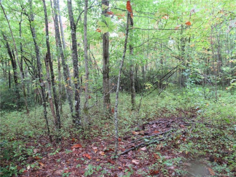 Property image 3 at Off Ben Nevis Road, Brevard, NC 28712