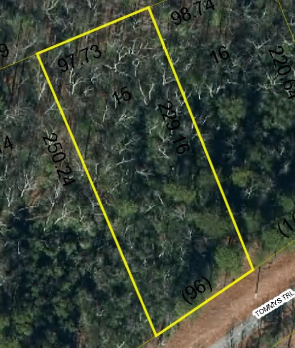 Property image 2 at 6083 Tommys Trail, Connelly Springs, NC 28612