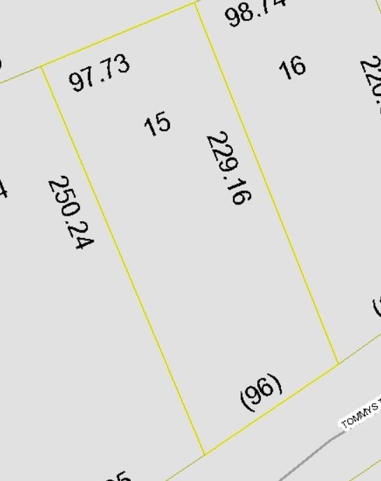 Property image 3 at 6083 Tommys Trail, Connelly Springs, NC 28612