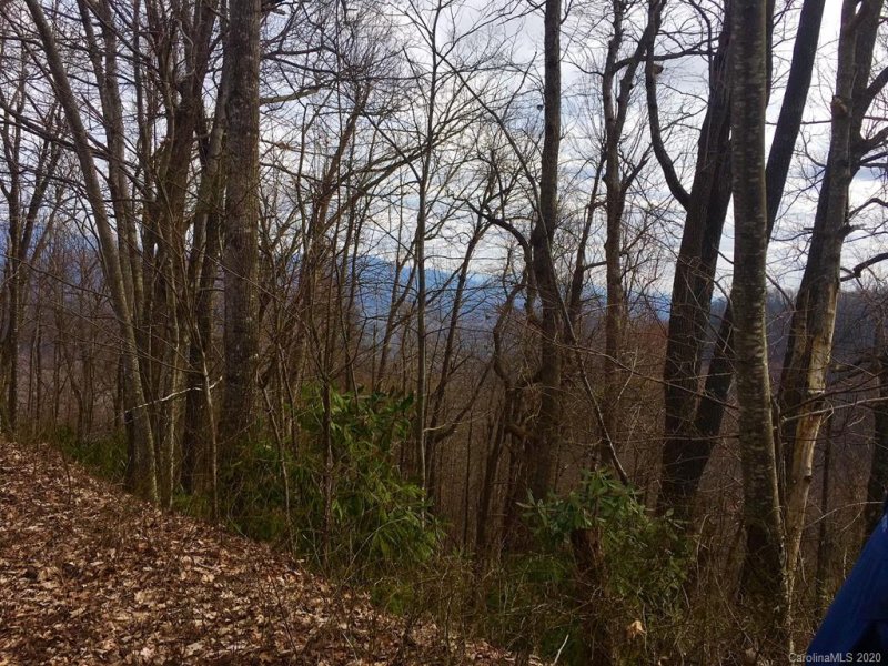 Property image 3 at 000 Laurel Mountain Road, Black Mountain, NC 28711