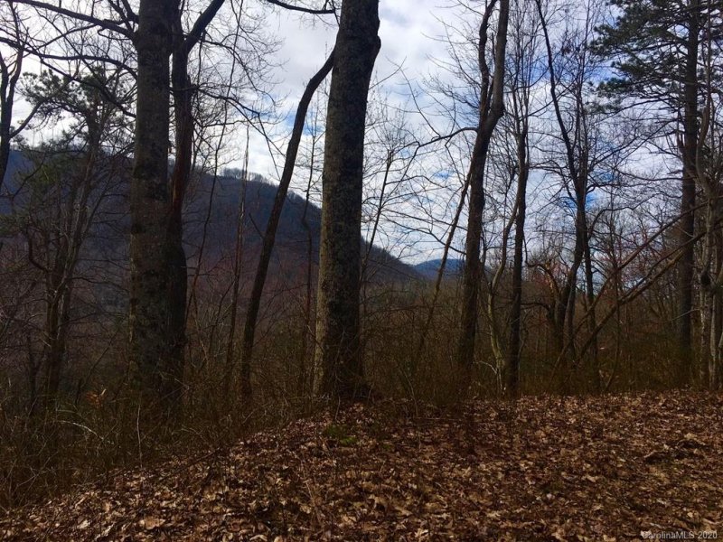 Property image 4 at 000 Laurel Mountain Road, Black Mountain, NC 28711