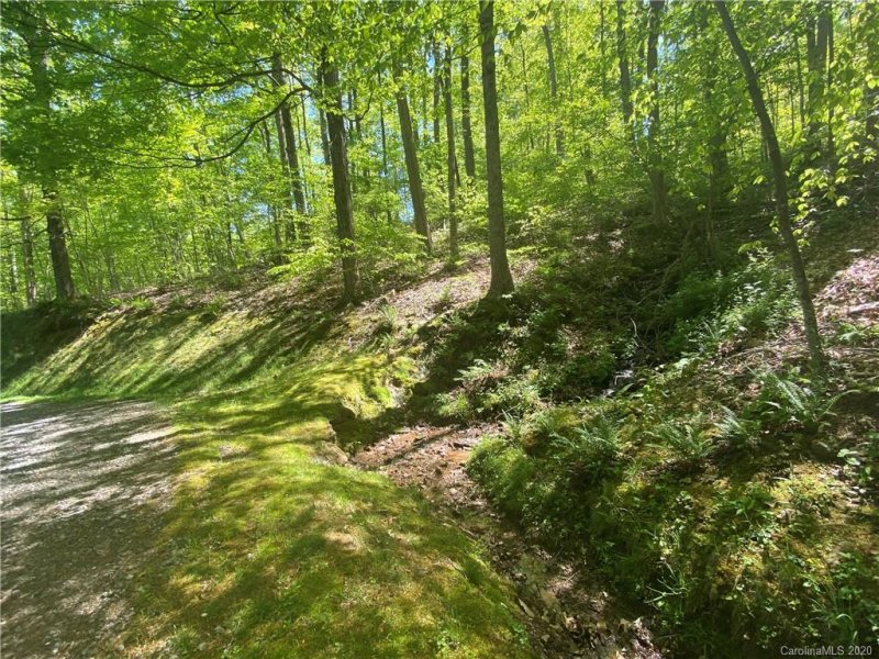 Property image 4 at 0 Wildwood Road, Burnsville, NC 28714