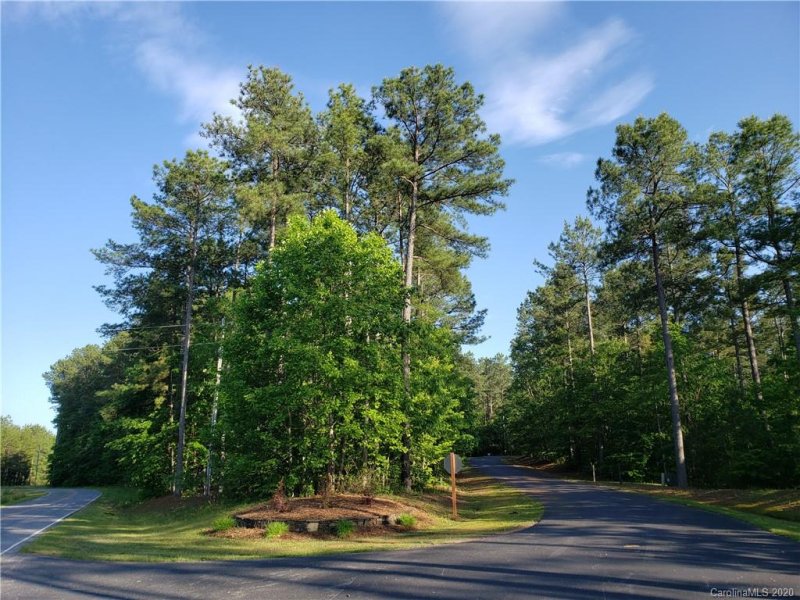 Property image 2 at 00 Loblolly Lane, Mill Spring, NC 28756