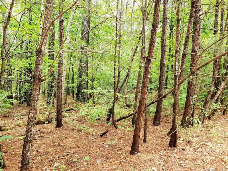 Property image 5 at 00 Loblolly Lane, Mill Spring, NC 28756