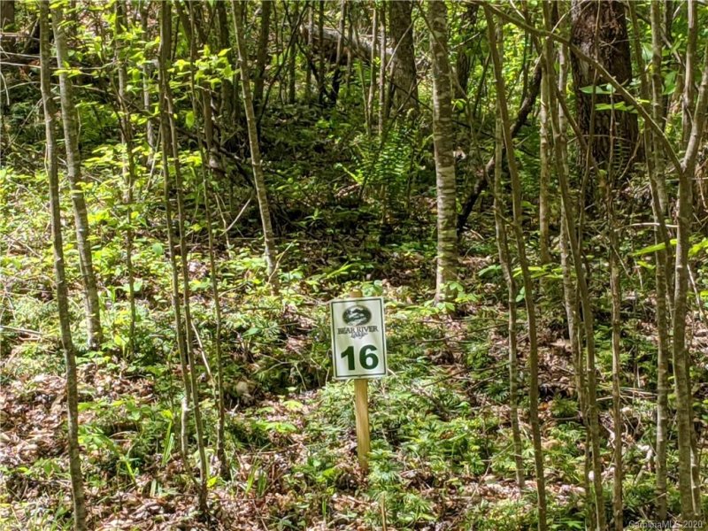 Property image 2 at Lot 16 Bear River Lodge Trail, Marshall, NC 28753