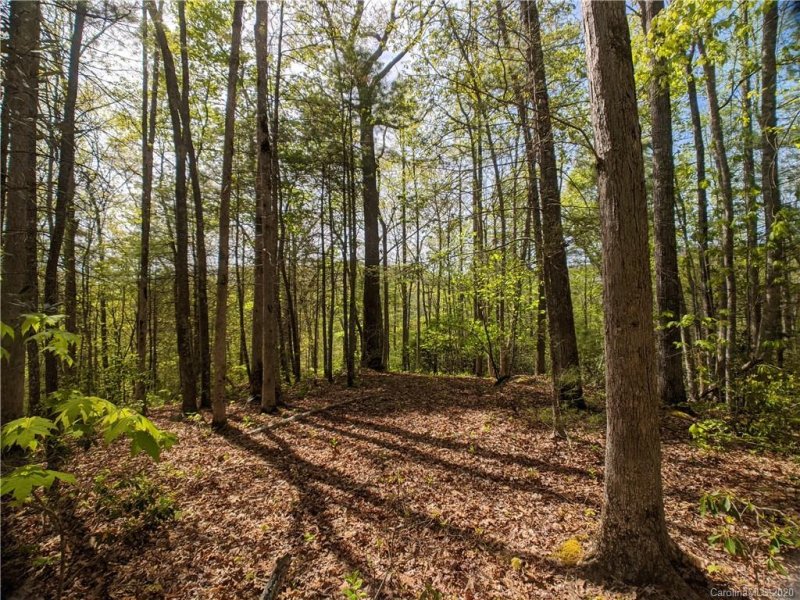 1156 Bear River Lodge Trail