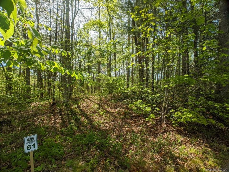 Property image 2 at 1156 Bear River Lodge Trail, Marshall, NC 28753