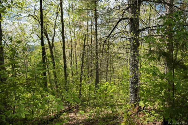 Property image 2 at Lot 82 Thorncliff Trail, Marshall, NC 28753