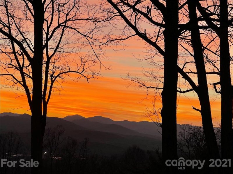 Property image 3 at 101 Crestwood Road, Asheville, NC 28804