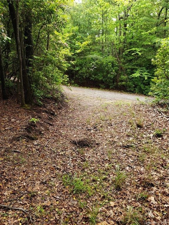 Property image 2 at Lot 10a Dogwood Court, Penrose, NC 28766