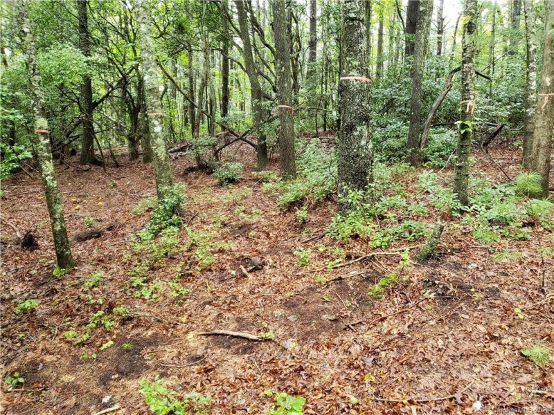 Property image 3 at Lot 10a Dogwood Court, Penrose, NC 28766