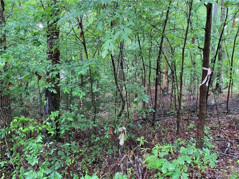 365 Stone Cliff Lane