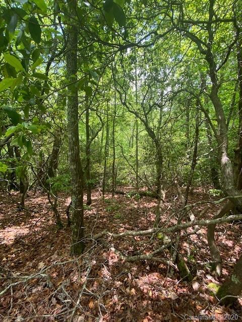 Property image 4 at Tbd Falls View Drive, Pisgah Forest, NC 28768