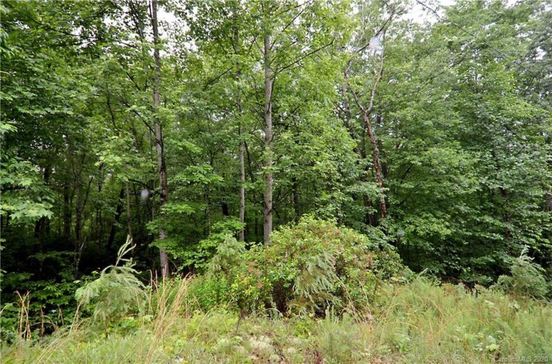 Property image 5 at Lot 32 33 Laurel Valley Drive, Marion, NC 28752