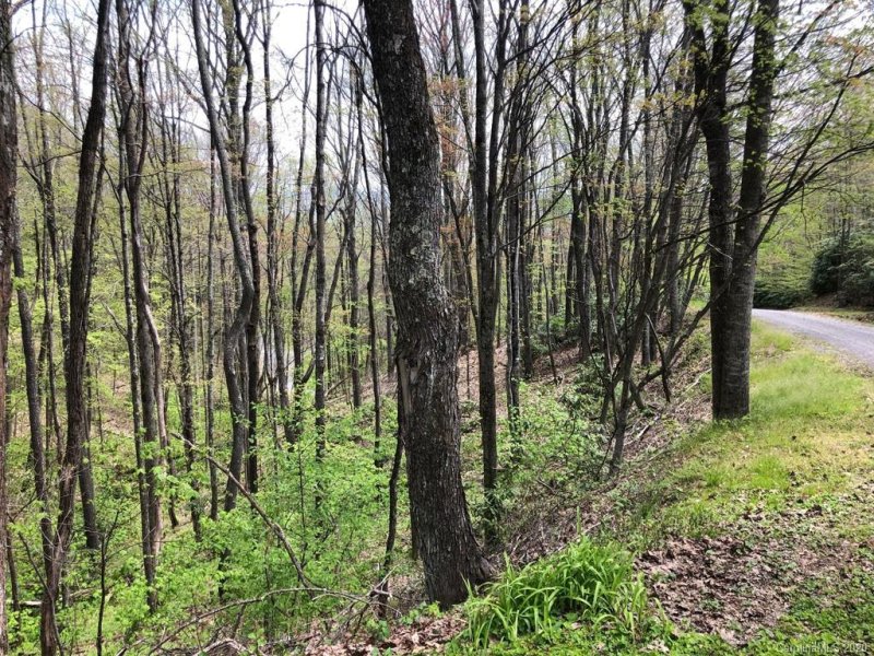 Property image 3 at 20 Connies Cove, Waynesville, NC 28786