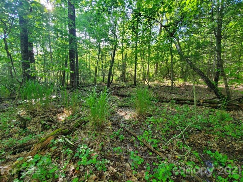 Property image 3 at 0 Bald Hill Court, Lake Lure, NC 28746