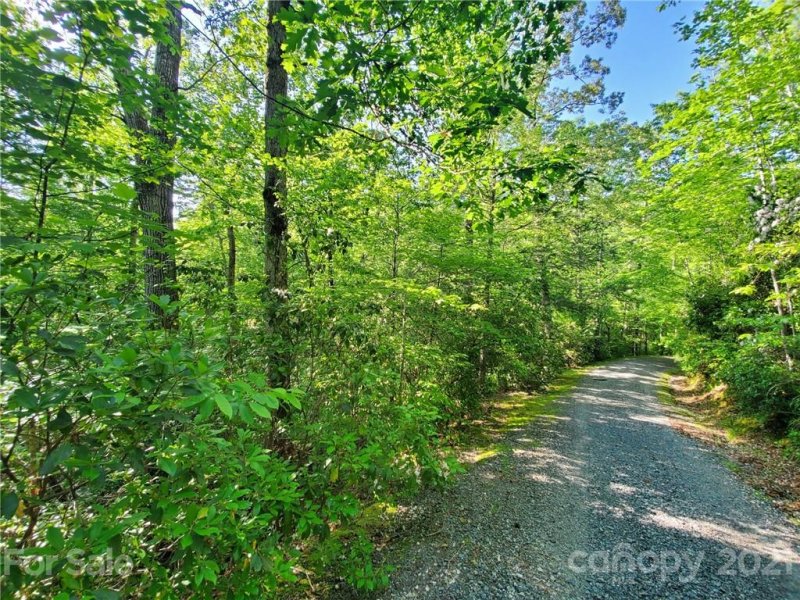 Property image 5 at 0 Bald Hill Court, Lake Lure, NC 28746