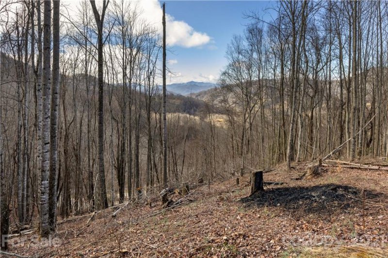 Property image 4 at Tbd Sunset Falls Drive, Clyde, NC 28721