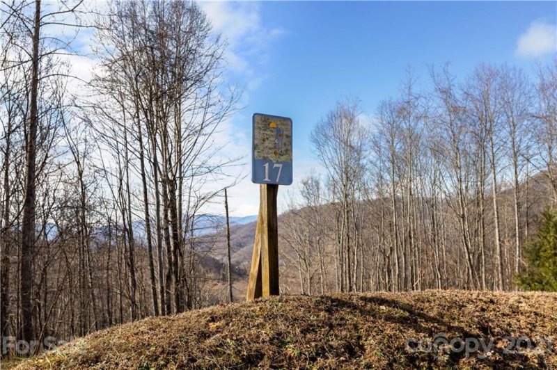 Property image 5 at Tbd Sunset Falls Drive, Clyde, NC 28721