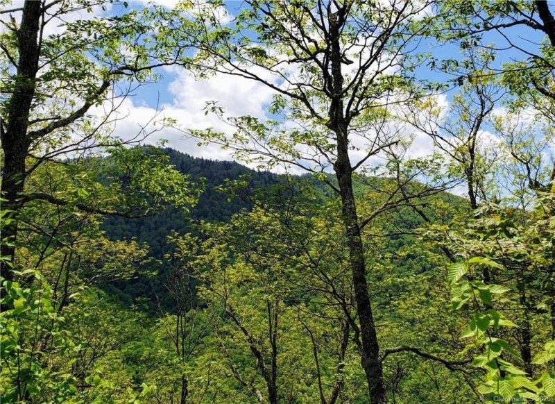 Property image 2 at 00 Shangri Lane, Qualla, NC 28789