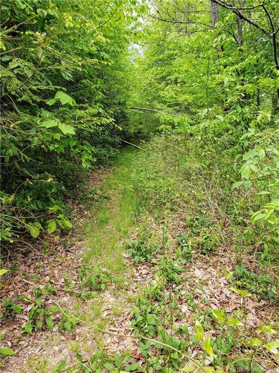 Property image 4 at 00 Shangri Lane, Qualla, NC 28789