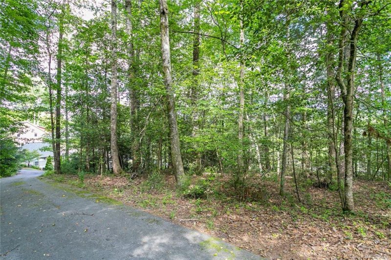 Property image 4 at Lot 5 Cadence Circle, Brevard, NC 28712