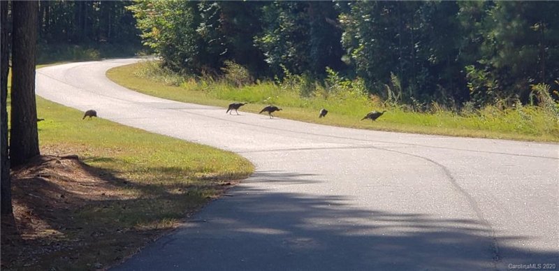 Property image 2 at 4032 Mountain Vista Drive, Morganton, NC 28655