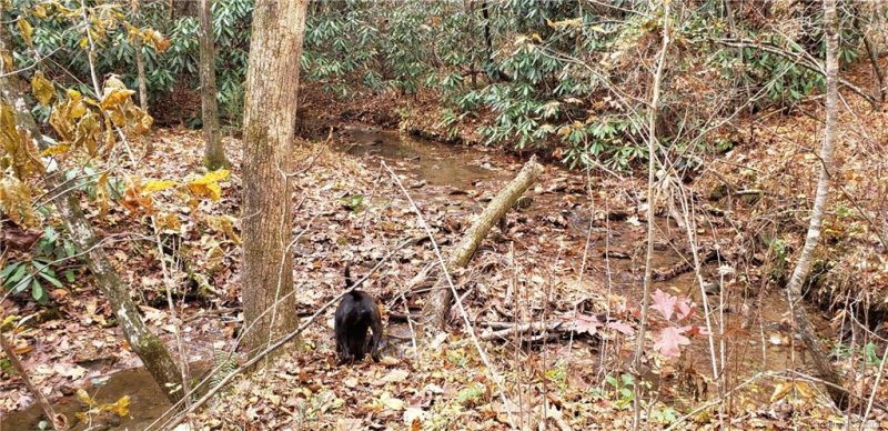 Property image 4 at 4032 Mountain Vista Drive, Morganton, NC 28655