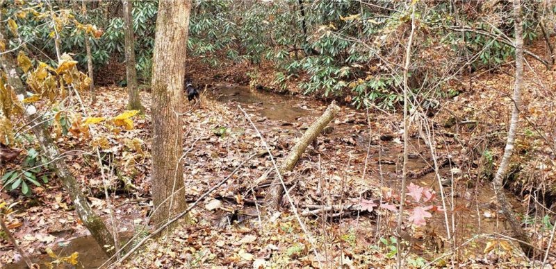 Property image 5 at 4032 Mountain Vista Drive, Morganton, NC 28655