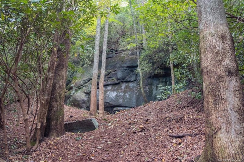 Property image 5 at 2020 Happy Acres Road, Brevard, NC 28712