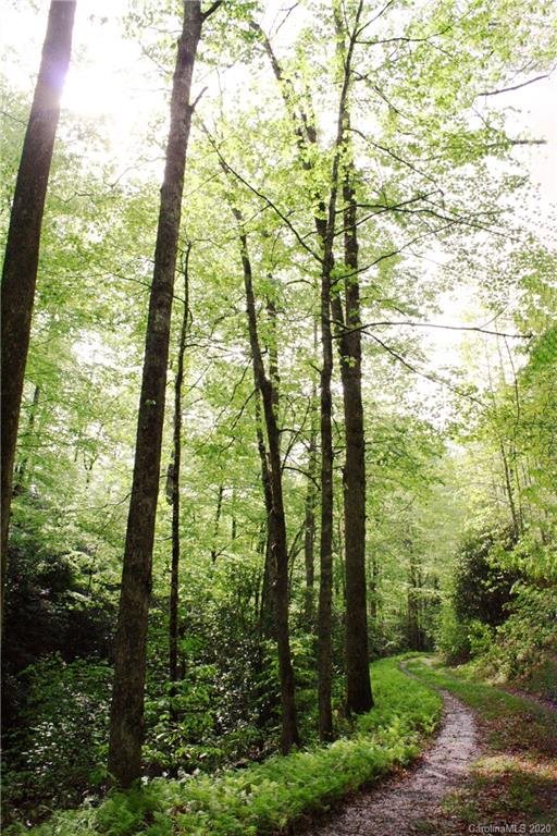 Property image 2 at 000 Line Runner Ridge Highway, Rosman, NC 28772