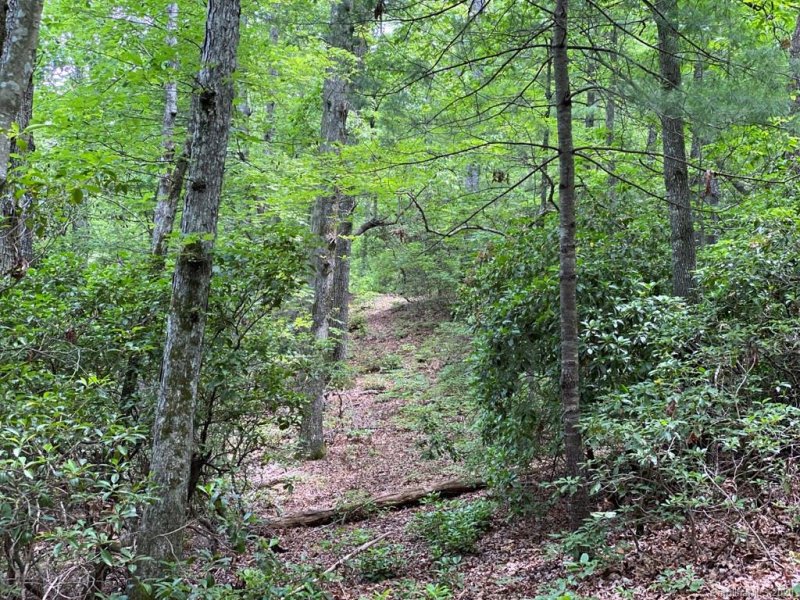 Property image 5 at Lot 6 Summit Landing Drive, Zirconia, NC 28790
