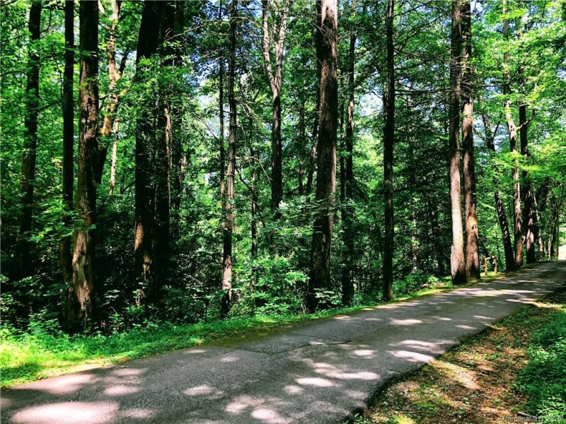 Property image 3 at 5538 Spring Road, Hendersonville, NC 28739