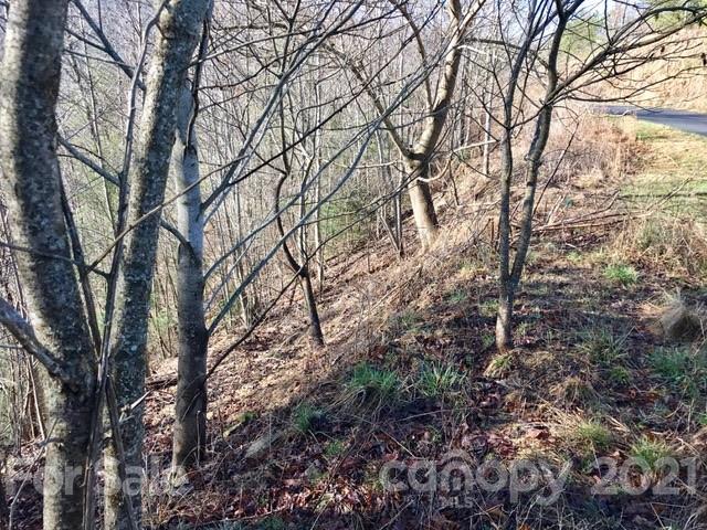 Property image 4 at 91 Fireside Trail, Marshall, NC 28753