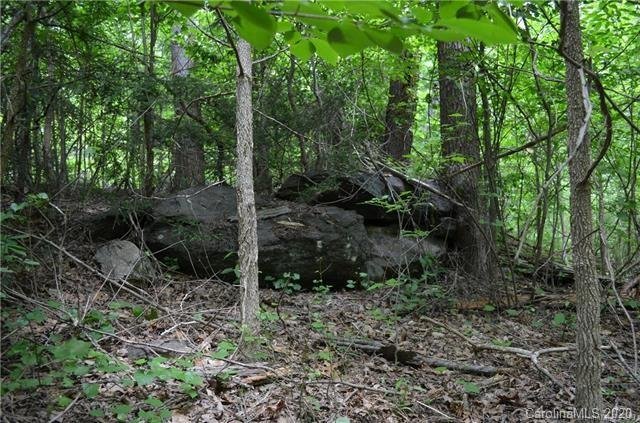 Property image 4 at 999 Hemlock Trail, Columbus, NC 28722