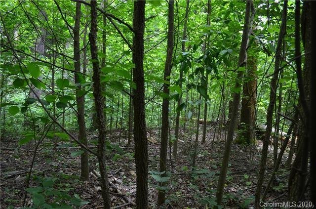 Property image 5 at 999 Hemlock Trail, Columbus, NC 28722