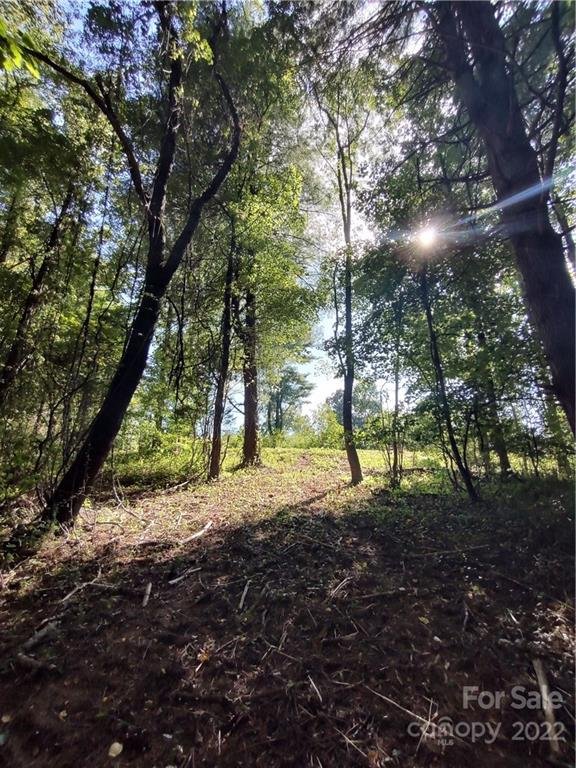 Property image 5 at 35 Baxter Woods Lane, Candler, NC 28715