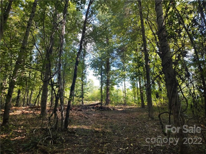 Property image 5 at 39 Baxter Woods Lane, Candler, NC 28715