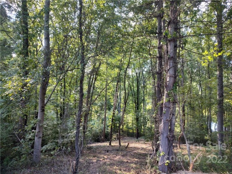 43 Baxter Woods Lane