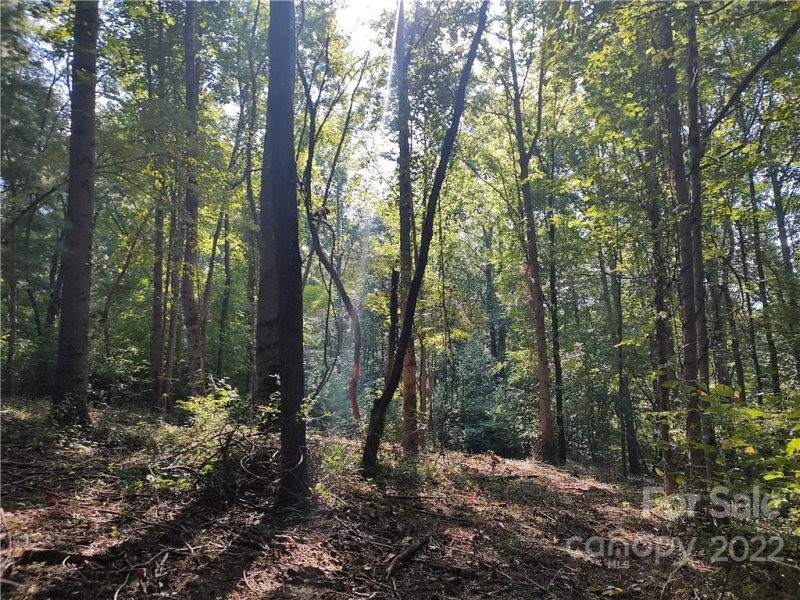 Property image 5 at 43 Baxter Woods Lane, Candler, NC 28715