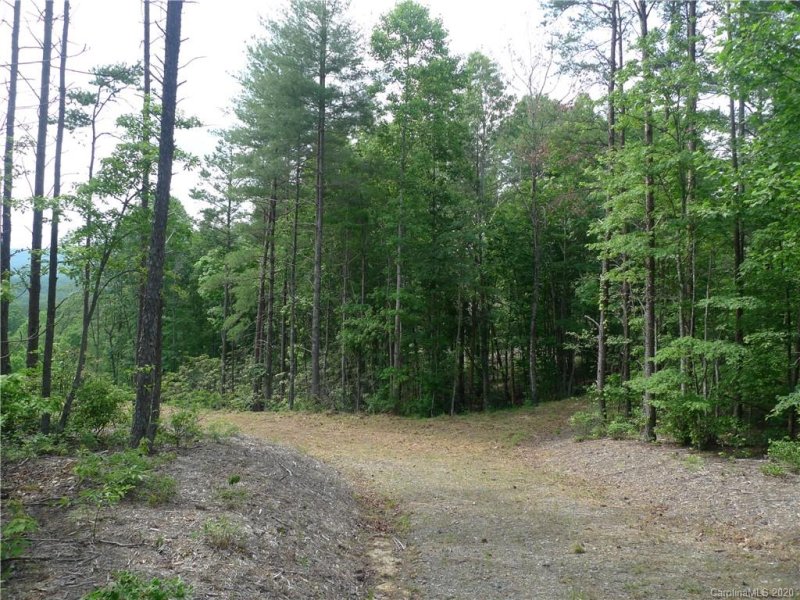 Property image 4 at 1621 Pisgah Preserve Drive, Nebo, NC 28761