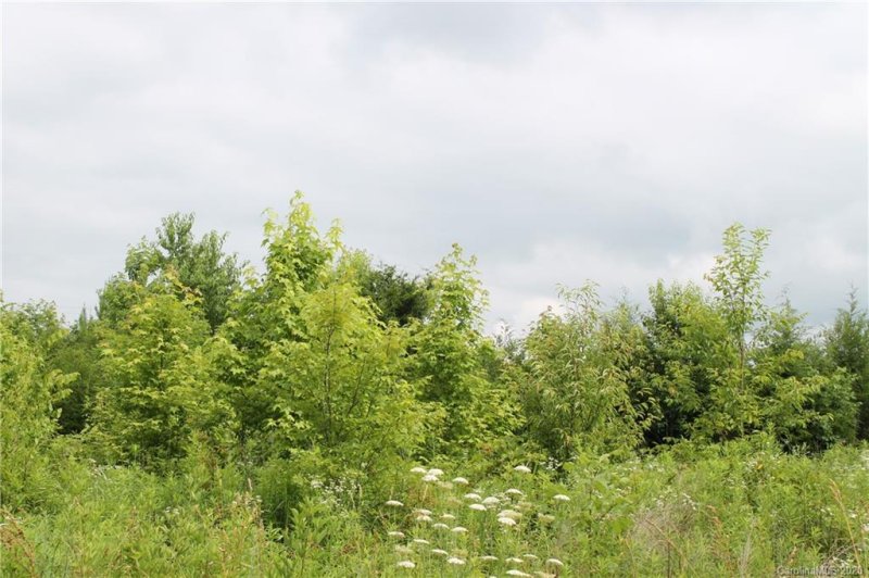 Property image 2 at 120 Barnwood Drive, Rockwell, NC 28138