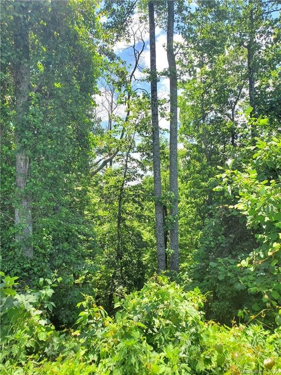 Property image 5 at 00 Grey Rock Parkway, Lake Lure, NC 28746