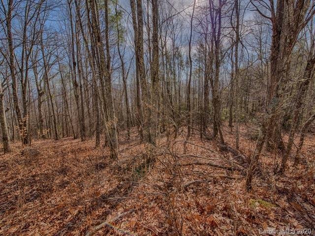 Property image 2 at 00 Eagles Nest Road, Waynesville, NC 28786